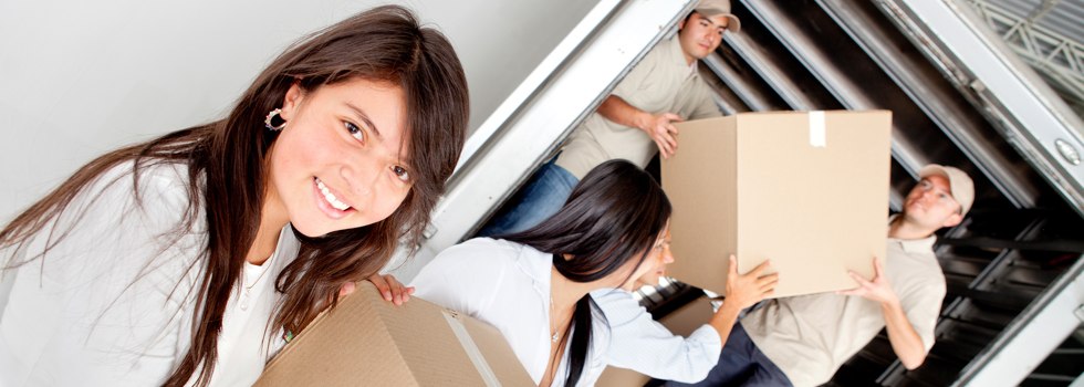 Professional Removalists Dalcouth